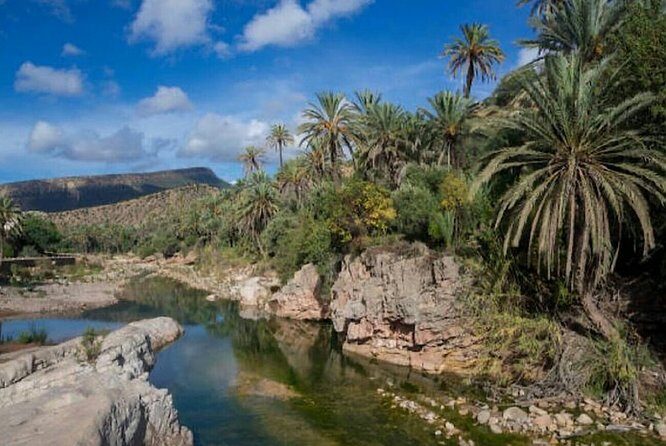 Agadir Paradise valley excursion & Breakfast - Food and Additional Options
