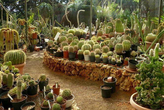Agadir Paradise valley excursion & Breakfast - Who Will Love This Tour?
