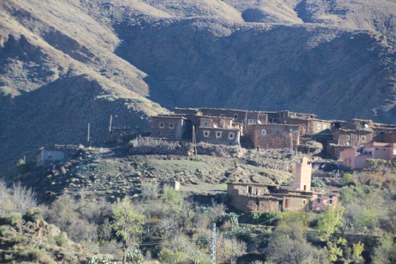 Agadir: Paradise Valley Tour and Atlas Mountains - Who Should Consider This Tour?