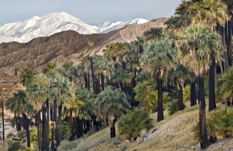 Agadir Paradise Valley Trip Hiking & Swimming - Final Thoughts: Is This Tour Right for You?