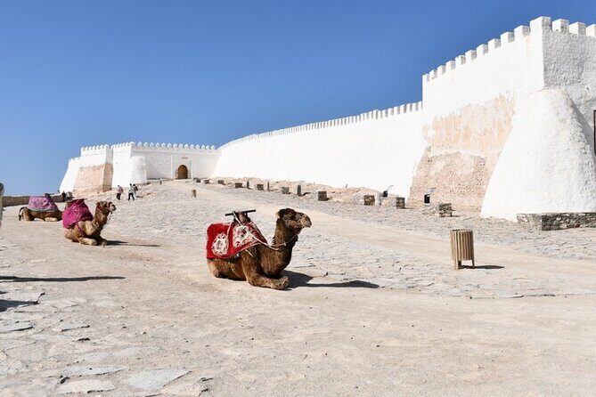 Agadir: Private Half-Day City Tour - The Sum Up: Why Choose This Tour?