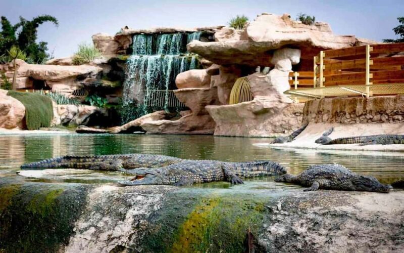 Agadir: Quad Bike Tour Safari with a Crocopark Ticket - An In-Depth Look at the Quad Bike Safari and Crocopark Tour