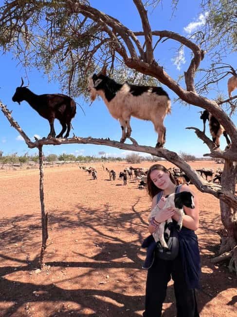 Agadir: Quad Bike Tour Safari with a Crocopark Ticket - The Sum Up