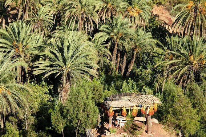 Agadir Quad Biking on the Beach & Sandboarding in the Desert - Who Should Consider This Tour?