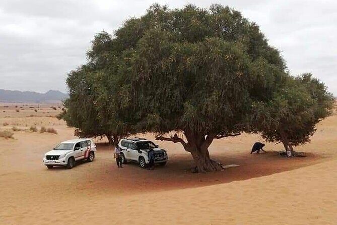Agadir Sahara Day Trip with Lunch - An In-Depth Look at the Tour Itinerary