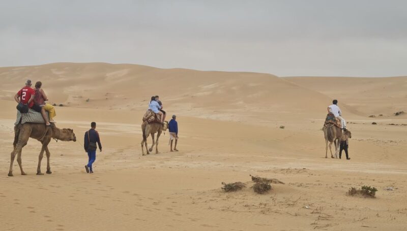 Agadir: Sahara Desert Camel ride & Sandboarding Halfday Trip - What to Expect from the Sahara Desert Half-Day Tour