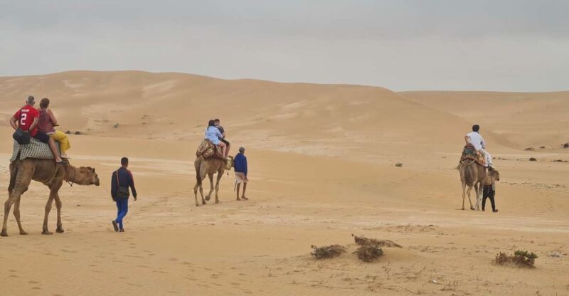Agadir: Sahara Desert Camel ride & Sandboarding Halfday Trip - The Trip Itself: Details and Logistics