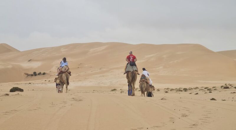 Agadir: Sahara Desert Camel ride & Sandboarding Halfday Trip - FAQ