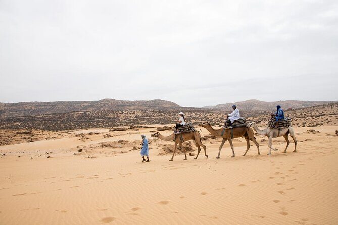 Agadir Sand Dunes and Camel Ride in Tifnit with Lunch - Transportation, Group Size, and Timing