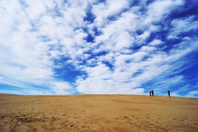 Agadir: Sand Surfing Experience - Who Will Love This Experience?