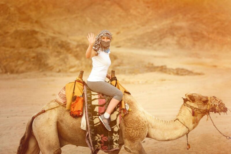 Agadir: Sunset Camel Ride - Flamingo River BBQ & Couscous - Agadir: Sunset Camel Ride - Flamingo River BBQ & Couscous — A Detailed Look