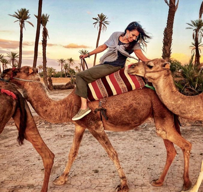 Agadir: Sunset Camel Ride - Flamingo River BBQ & Couscous - Why Choose This Tour?
