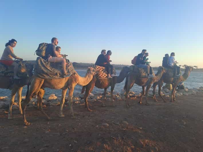 Agadir :Sunset Camel Ride with BBQ Dinner & Transfer - A Detailed Look at the Agadir Sunset Camel Ride Tour