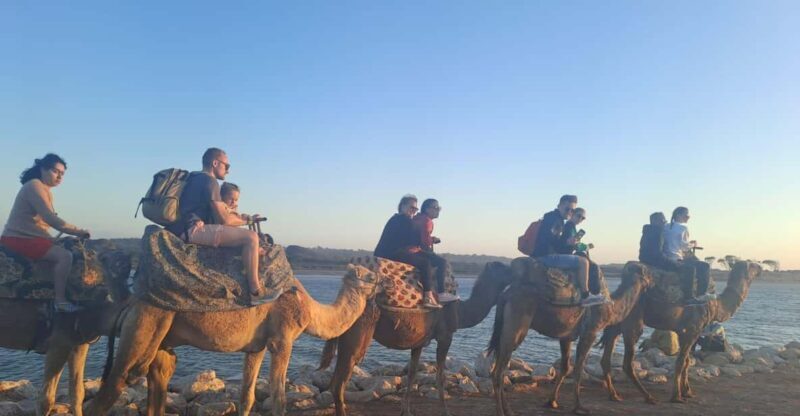 Agadir :Sunset Camel Ride with BBQ Dinner & Transfer - FAQs