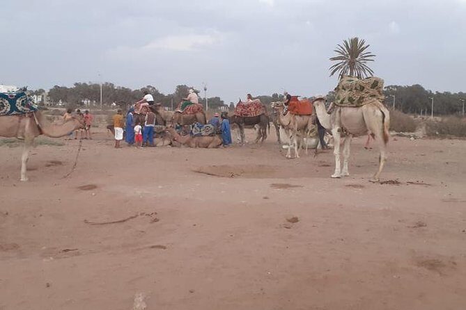 Agadir Sunset Camel Ride with Delicious Couscous & Barbecue - The Small Group Advantage