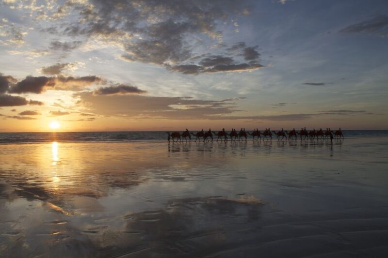 Agadir: Sunset Camel Ride With Dinner - A Deep Dive into the Experience