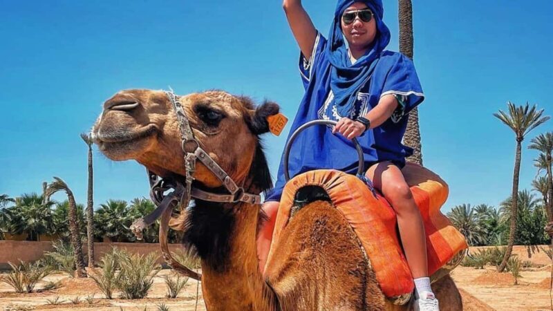 Agadir: Sunset Camel Ride with Local Music and Dinner - Key Points