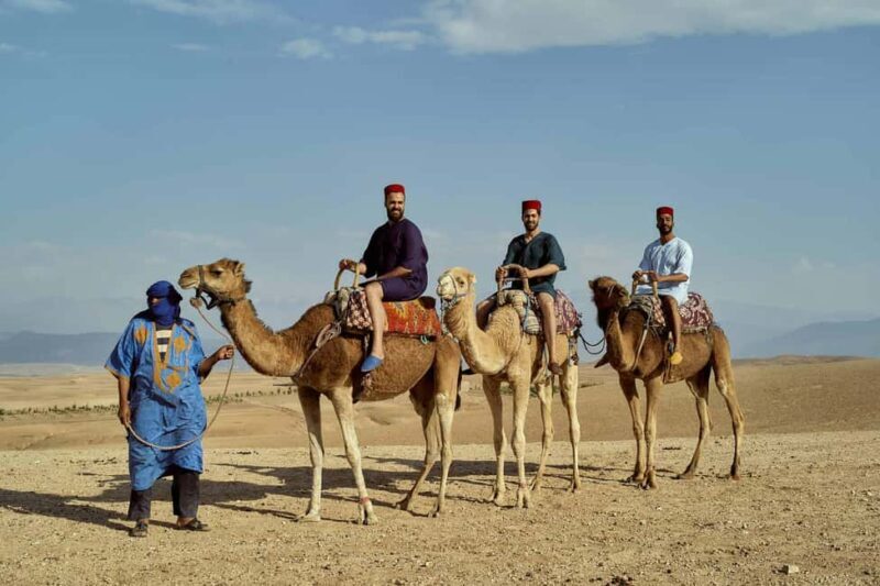 Agadir: Sunset Camel Ride with Local Music and Dinner - The Itinerary: What to Expect from Start to Finish