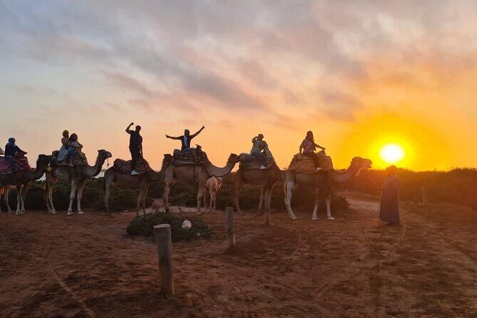 Agadir Sunset Camel Ride with Moroccan Barbecue & Hotel Transfers - Key Points