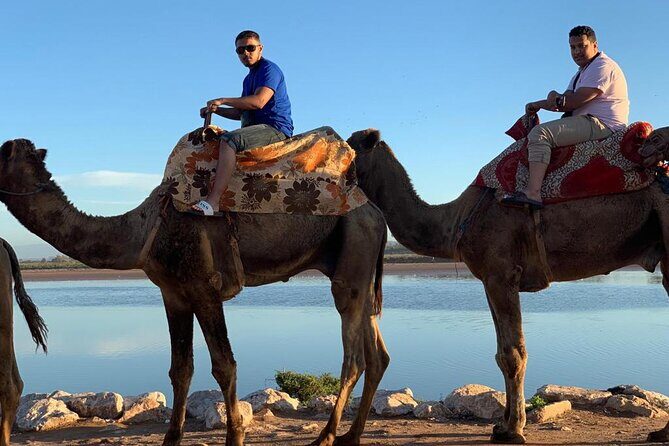 Agadir Sunset Camel Ride with Moroccan Barbecue & Hotel Transfers - An In-Depth Look at This Moroccan Adventure