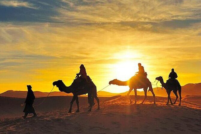 Agadir sunset on Camel Ride With Barbecue - Key Points