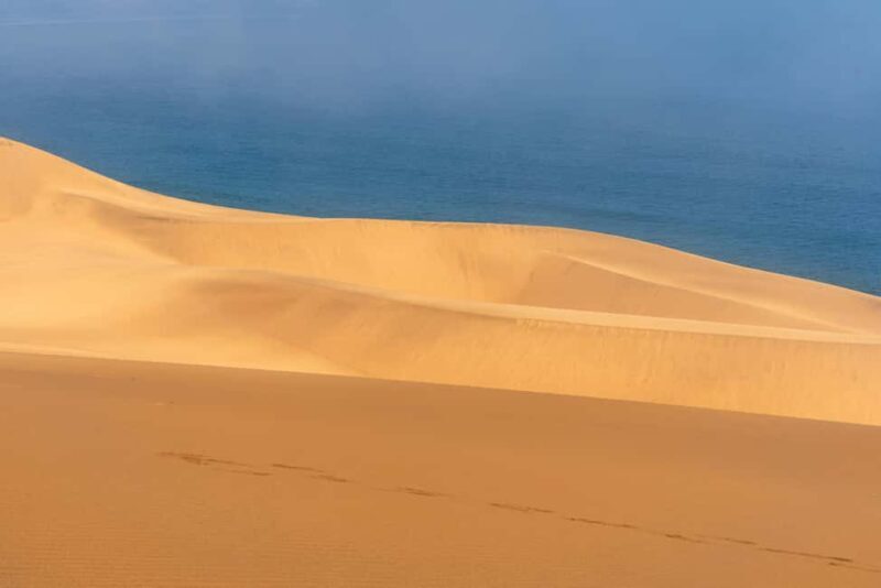Agadir Sunset Sahara Desert Dunes Half Day Visit - Practical Tips & Considerations