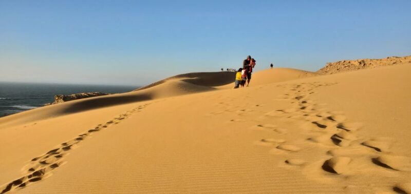Agadir Sunset Sahara Desert Dunes Half Day Visit - Who Will Love This Tour?