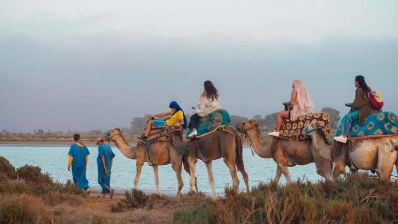 Agadir/Taghazout: Camel Ride with Tea Drink and Transfers - Key Points