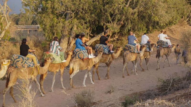 Agadir/Taghazout: Camel Ride with Tea Drink and Transfers - The Itinerary and What to Expect