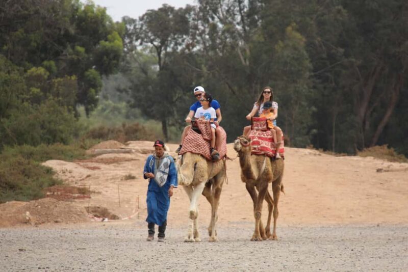 Agadir/Taghazout: Camel Ride with Tea Drink and Transfers - Frequently Asked Questions