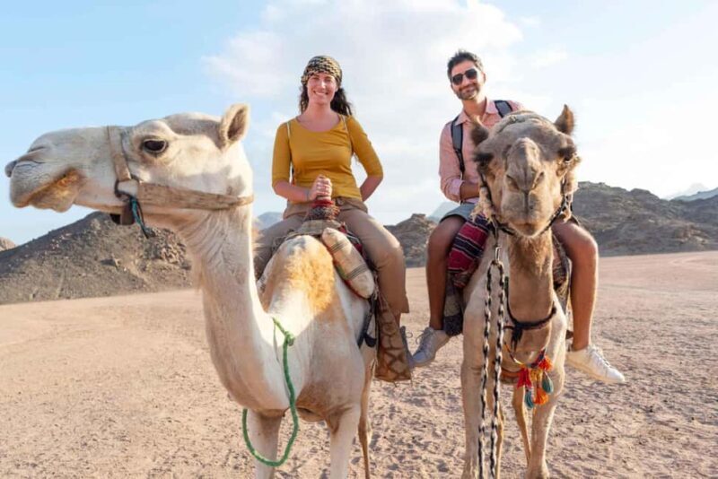 Agadir/Taghazout: Camel Rides with Tea Drink and Transfer - What to Expect from the Camel Ride Experience in Agadir