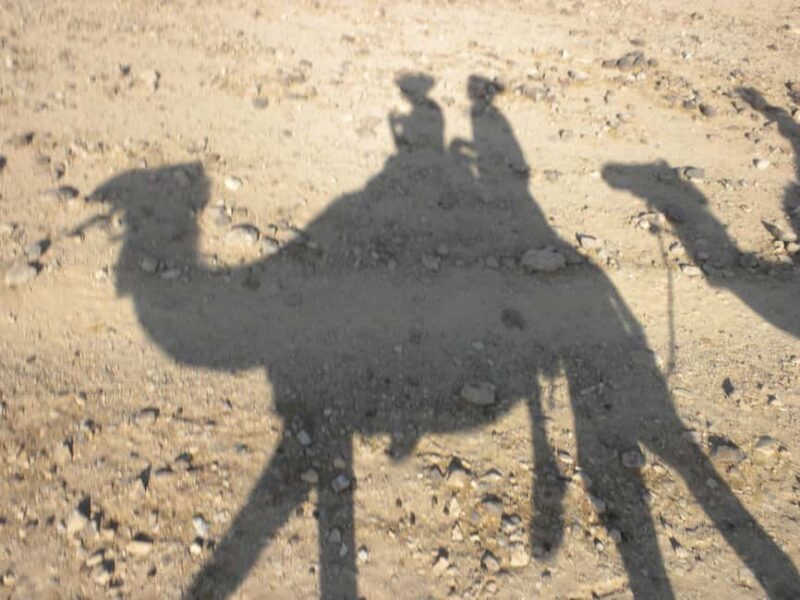 Agadir/Taghazout: Camel Rides with Tea Drink and Transfer - A Closer Look at the Tour’s Structure