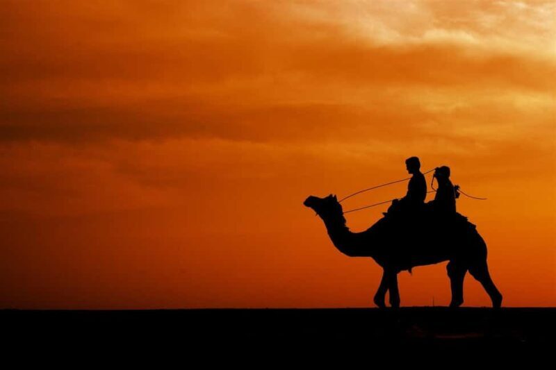 Agadir/Taghazout: Camel Rides with Tea Drink and Transfer - Insights from Reviews: What Travelers Say