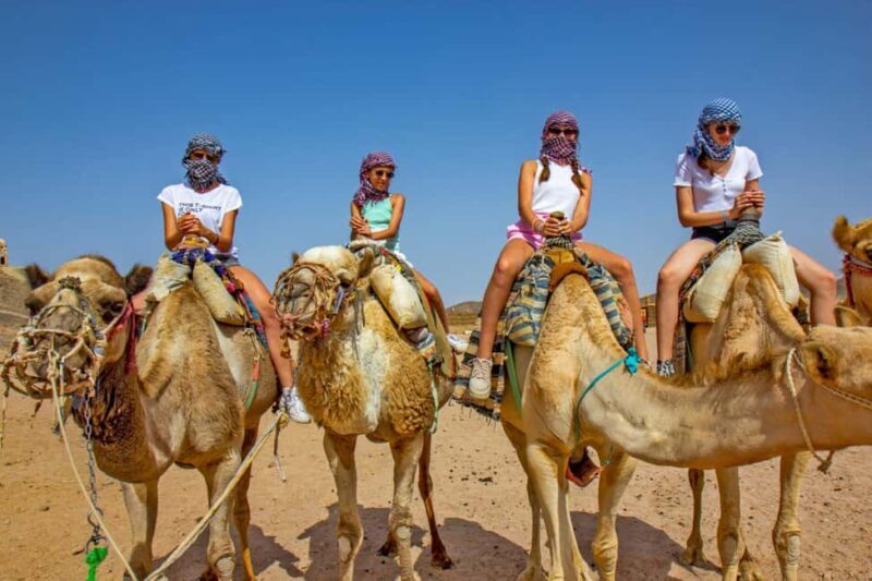 Agadir/Taghazout: Camel Rides with Tea Drink and Transfer - Who Will Love This Tour?