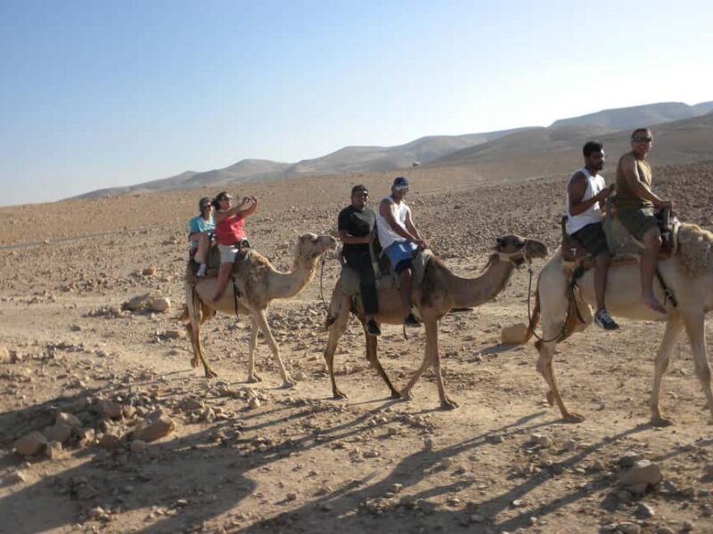 Agadir/Taghazout: Camel Rides with Tea Drink and Transfer - The Sum Up