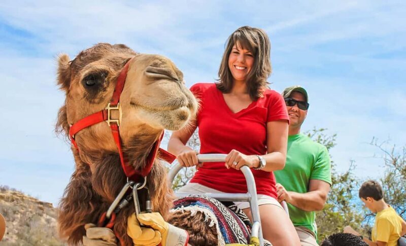 Agadir/Taghazout: Camel Rides with Tea Drink and Transfer - FAQ
