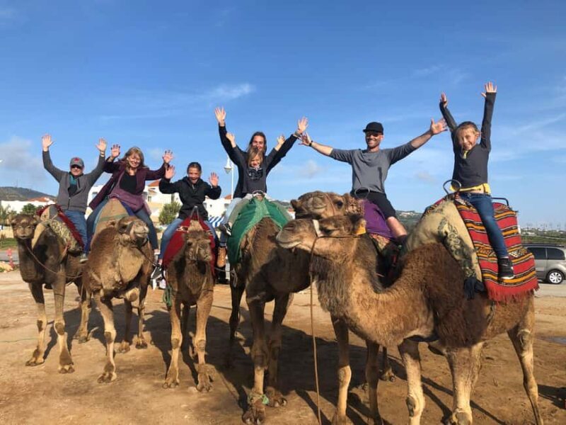 Agadir/Taghazout: Camel Rides with Tea Drink and Transfers - Key Points