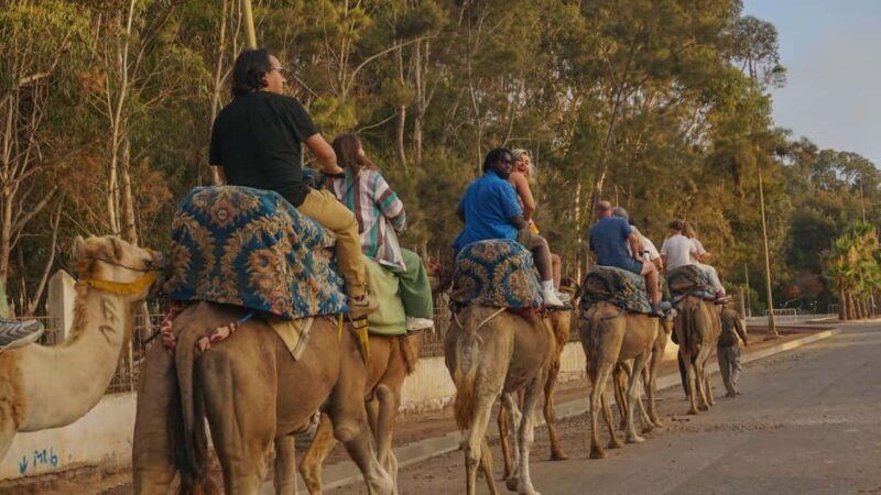 Agadir/Taghazout: Camel Rides with Tea Drink and Transfers - An In-Depth Look at the Camel Ride Experience