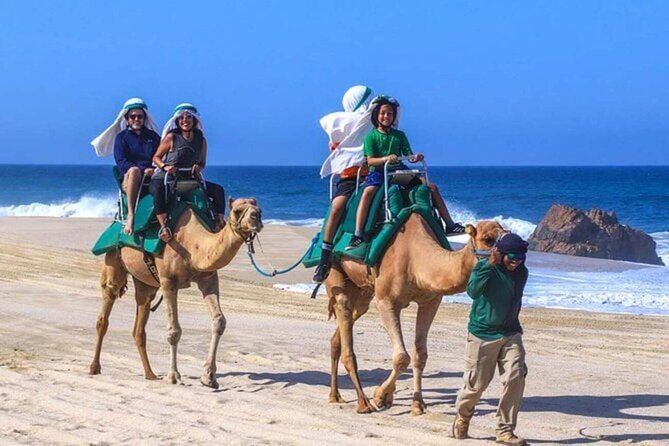 Agadir & Taghazout: Half Day Quad Bike Adventure and Camel Ride - Overview and What to Expect