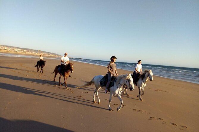 Agadir/Taghazout Horse Ride on the beach - Post-Ride Relaxation and Value