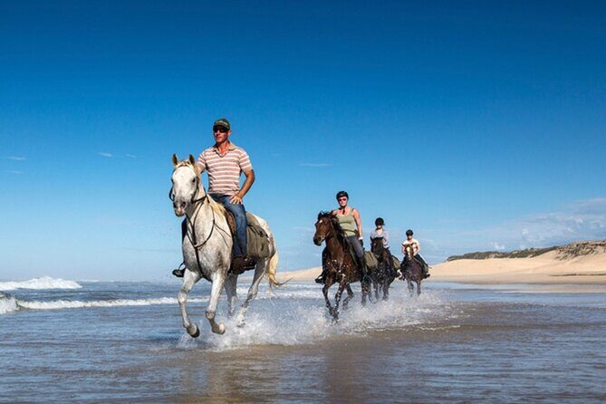 Agadir/Taghazout Horse Ride on the beach - Authentic Feedback from Travelers