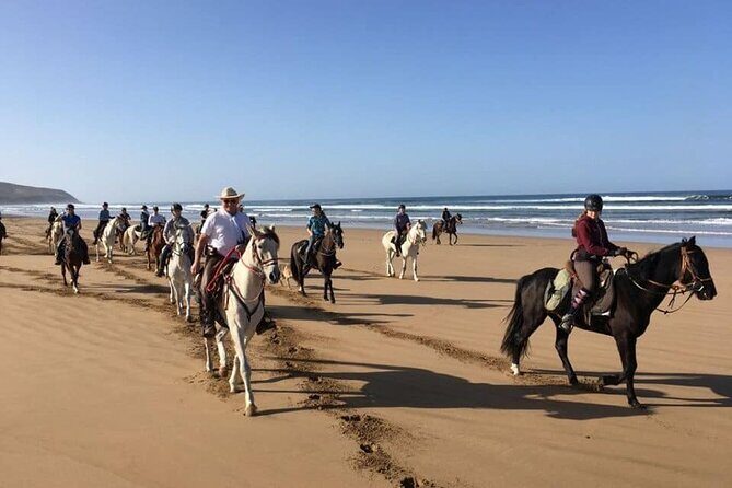 Agadir/Taghazout Horse Ride on the beach - The Sum Up: Who Will Love This Experience?