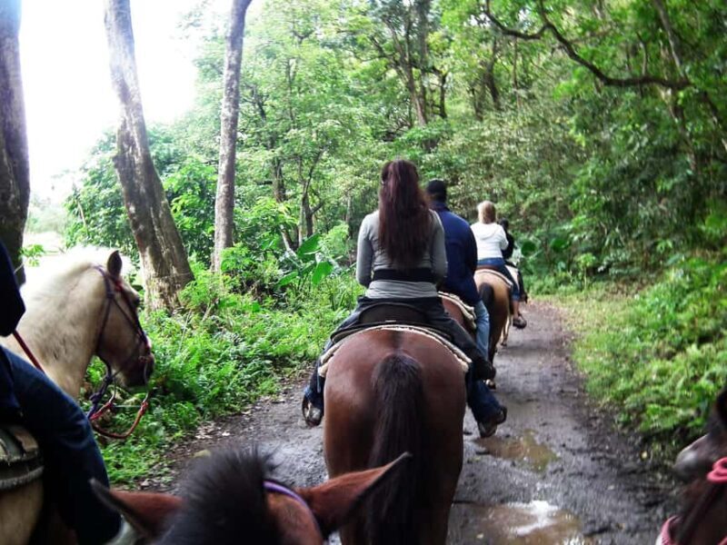 Agadir/Taghazout: Horse Rides Experience With Transfers - A Complete Look at the Horse Rides Experience in Agadir