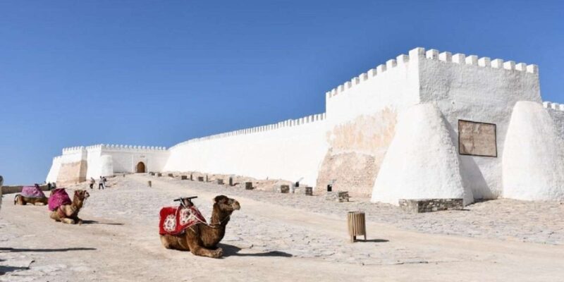 Agadir/Taghazout: Old Medina of Coco Polizzi and Agadir Tour - Transportation and Group Size