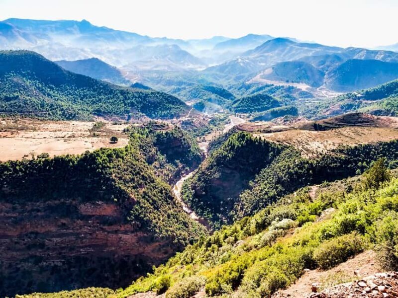 Agadir/Taghazout: Paradise Valley Half-Day Tour with Lunch - A Practical Look at the Tour Experience
