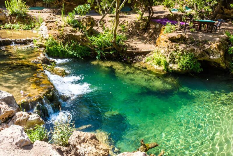 Agadir/Taghazout: Paradise Valley Half-Day Tour with Lunch - Cultural & Local Experiences