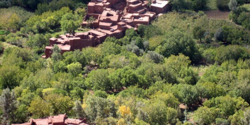 Agadir/Taghazout: Paradise Valley Half-Day Tour with Lunch - The Value & Considerations