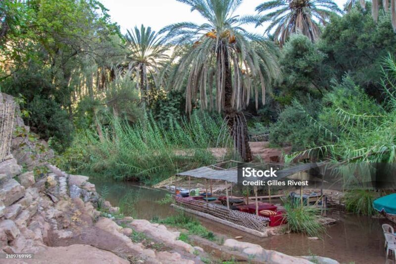 Agadir/Taghazout : Paradise Valley & Sandboarding with Lunch - Exploring the Agadir/Taghazout: Paradise Valley & Sandboarding with Lunch Tour