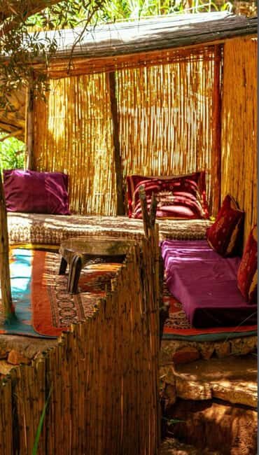 Agadir /Taghazout : Paradise Valley Visit + Lunch & Transfer - Practicalities and Tips