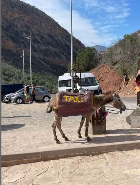Agadir /Taghazout : Paradise Valley Visit + Lunch & Transfer - FAQs